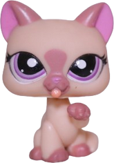 #1626 Paw Up Cat